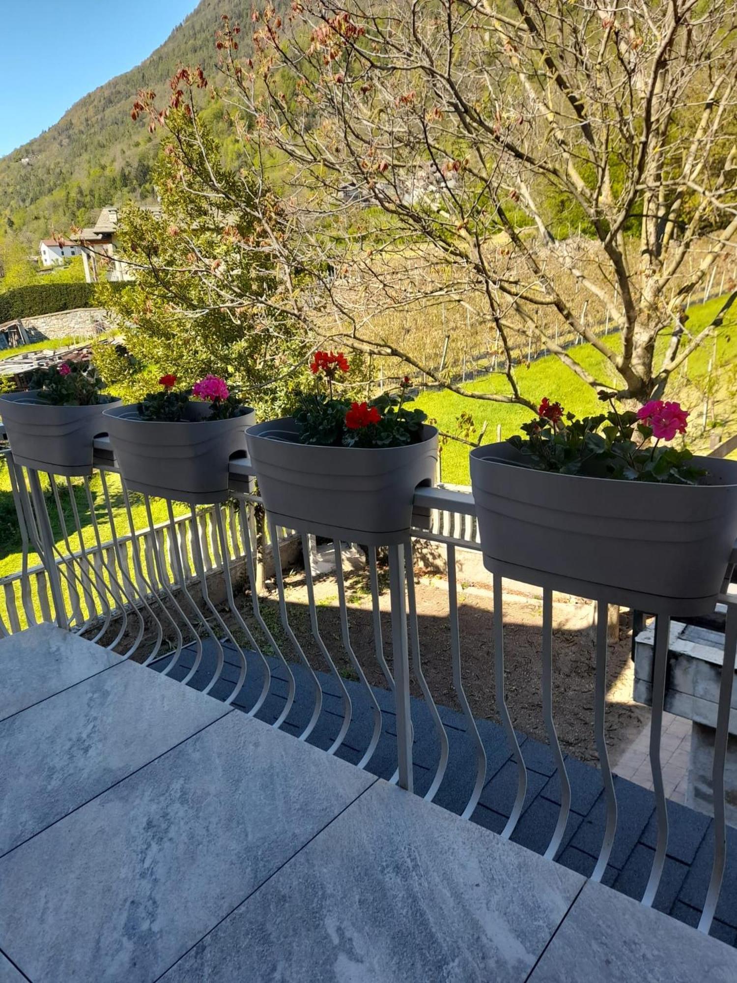La Casetta Di Campagna Mazzo di Valtellina Ngoại thất bức ảnh